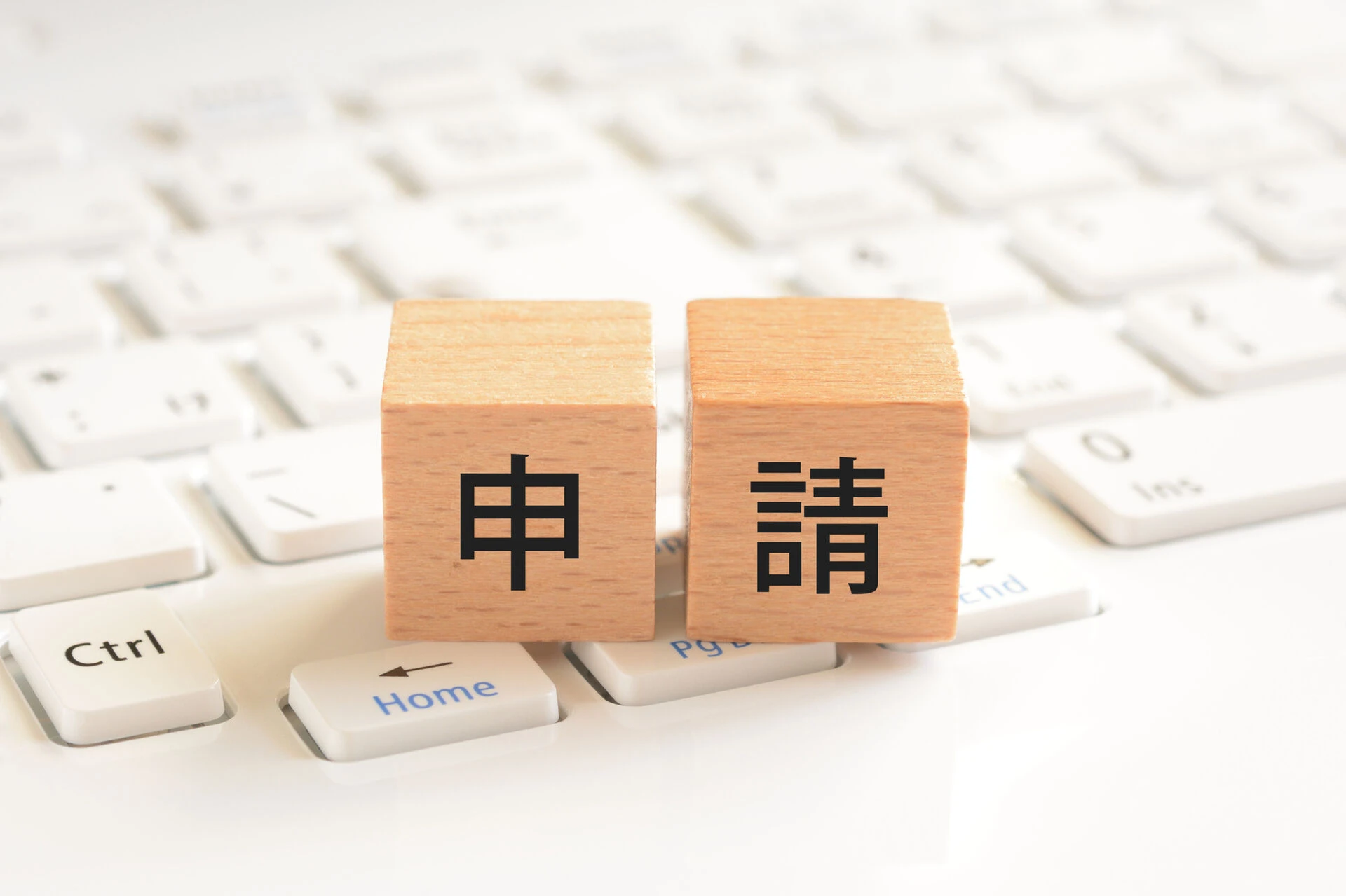 申請～審査